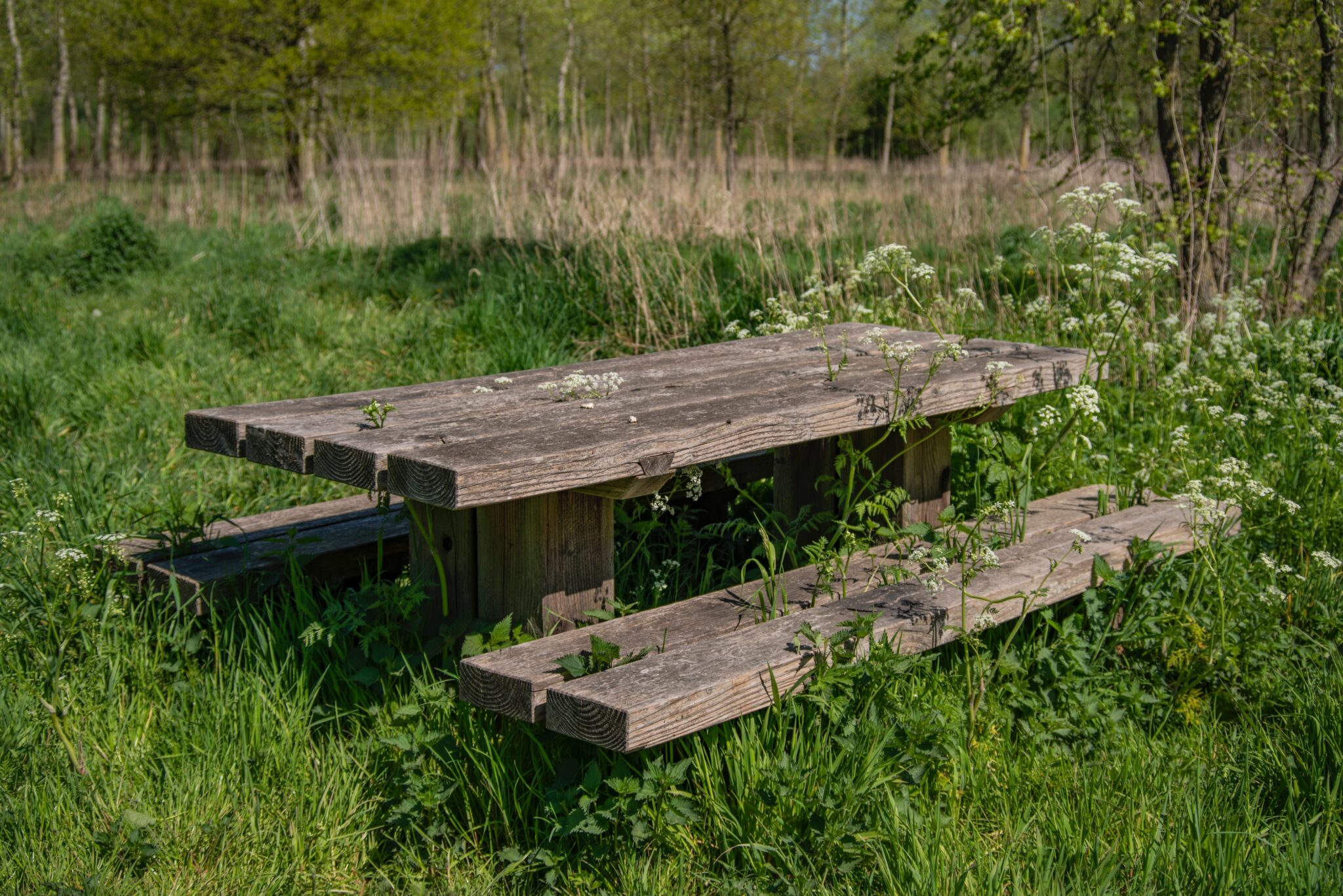 how-to-clear-a-yard-full-of-weeds-mawnbaron